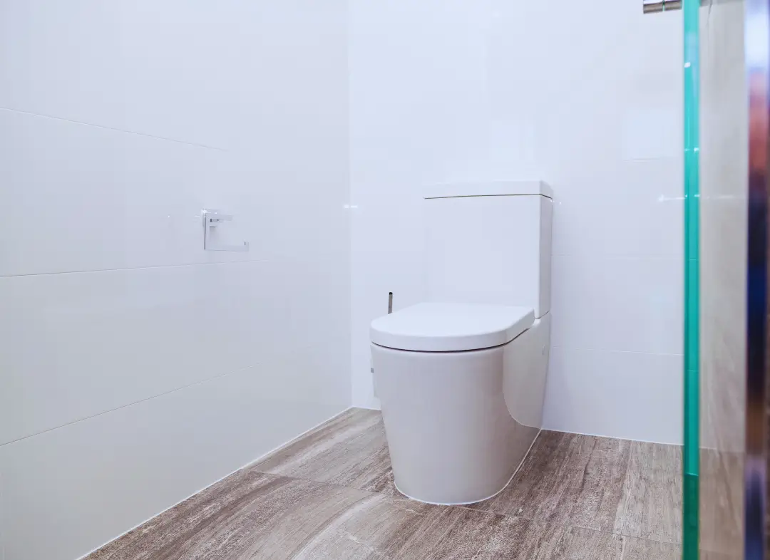 Remplacement de wc Bouillargues